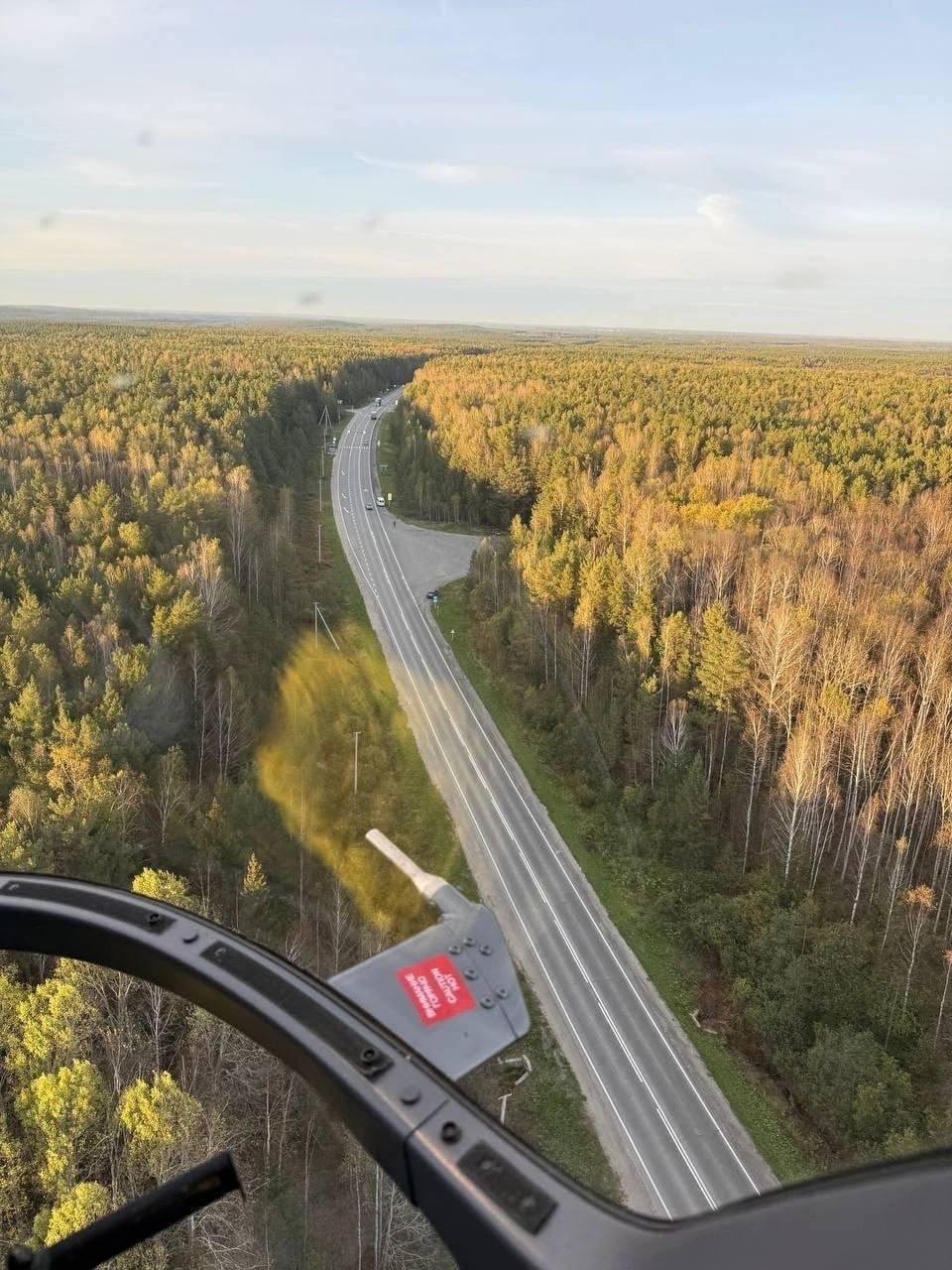 В Режевском районе пенсионерку спасли из болота рядом с медведицей и медвежонком