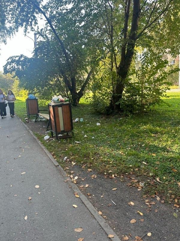 Новые урны в Кировском районе оказались под угрозой В Кировском районе...