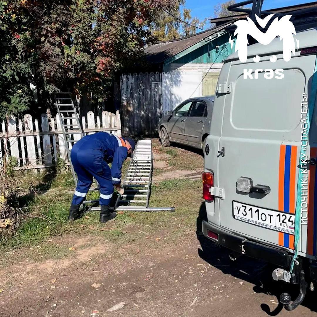 Спасатели достали двух собак из колодца в Богучанах. Пёсели провалились в...