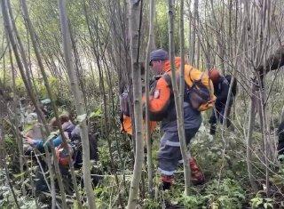 В Кировском районе Ленобласти потерявшегося грибника нашли с воздуха с помощью БПЛА