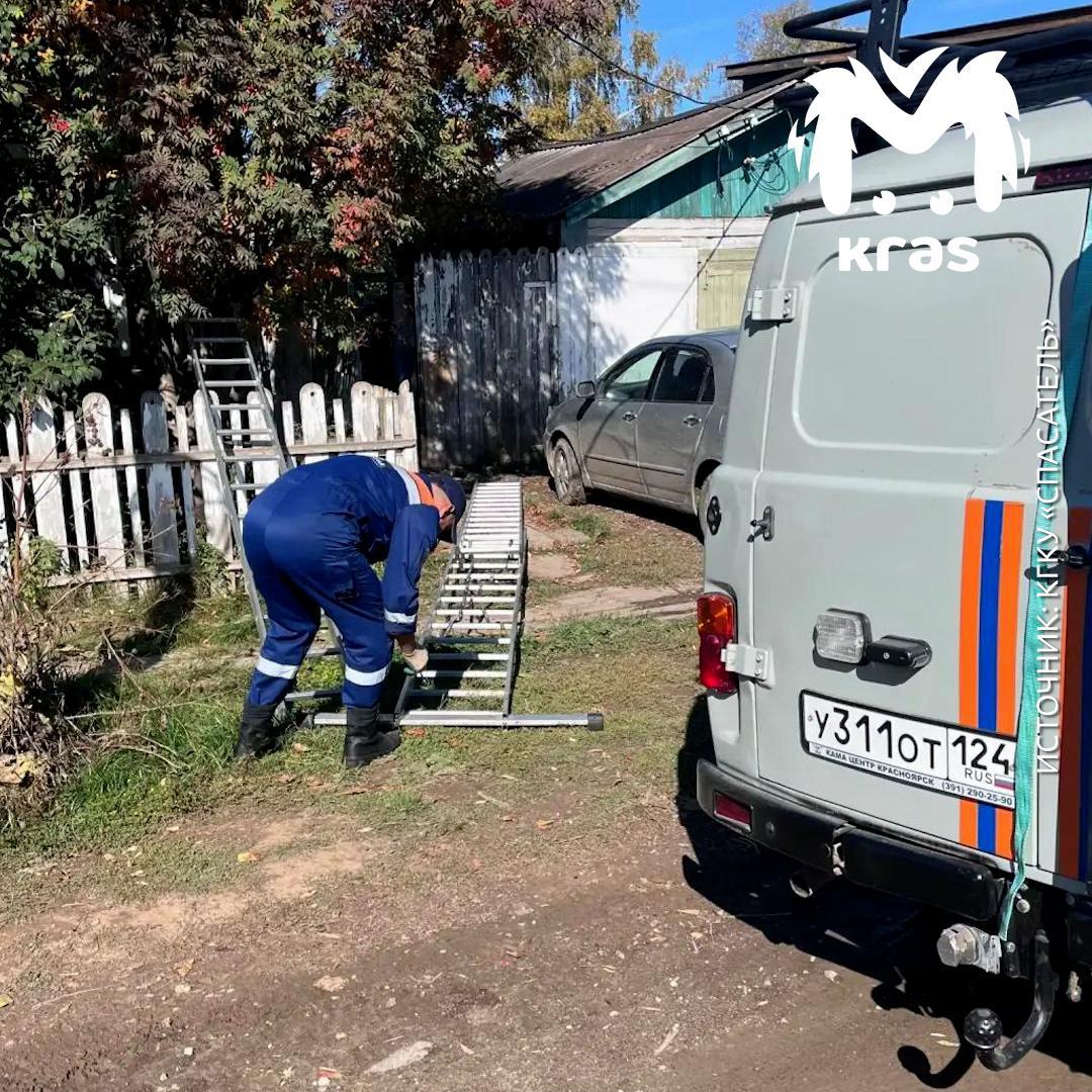 Спасатели достали двух собак из колодца в Богучанах. Пёсели провалились в...