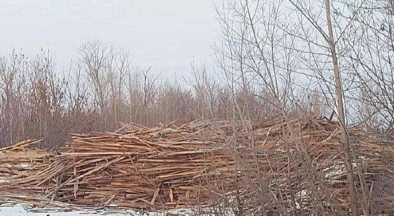 Лесопилка в Канске завалила округу опилками: прокуратура добилась очистки территории через суд