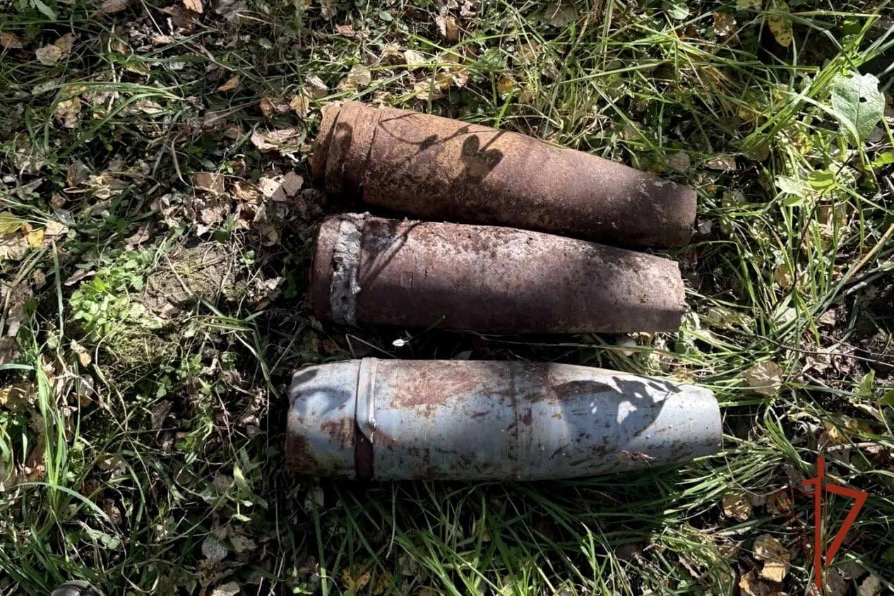 Под Ачинском грибник нашёл в лесу артиллерийские снаряды. Мужчина собирал...
