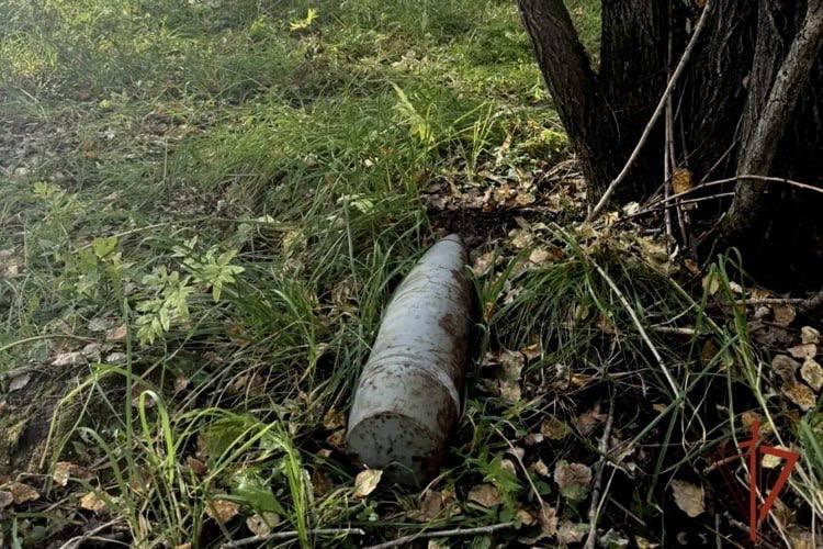 Под Ачинском грибник нашёл в лесу артиллерийские снаряды. Мужчина собирал...