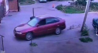 В Казахстане кошка УГНАЛА тачку — она забралась в машину через открытое окно, каким-то образом запустила двигатель и тронулась с места.