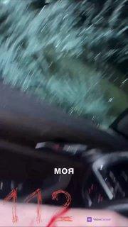 Рога лося пробили салон машины на трассе М-12 в Подмосковье. Водитель и...