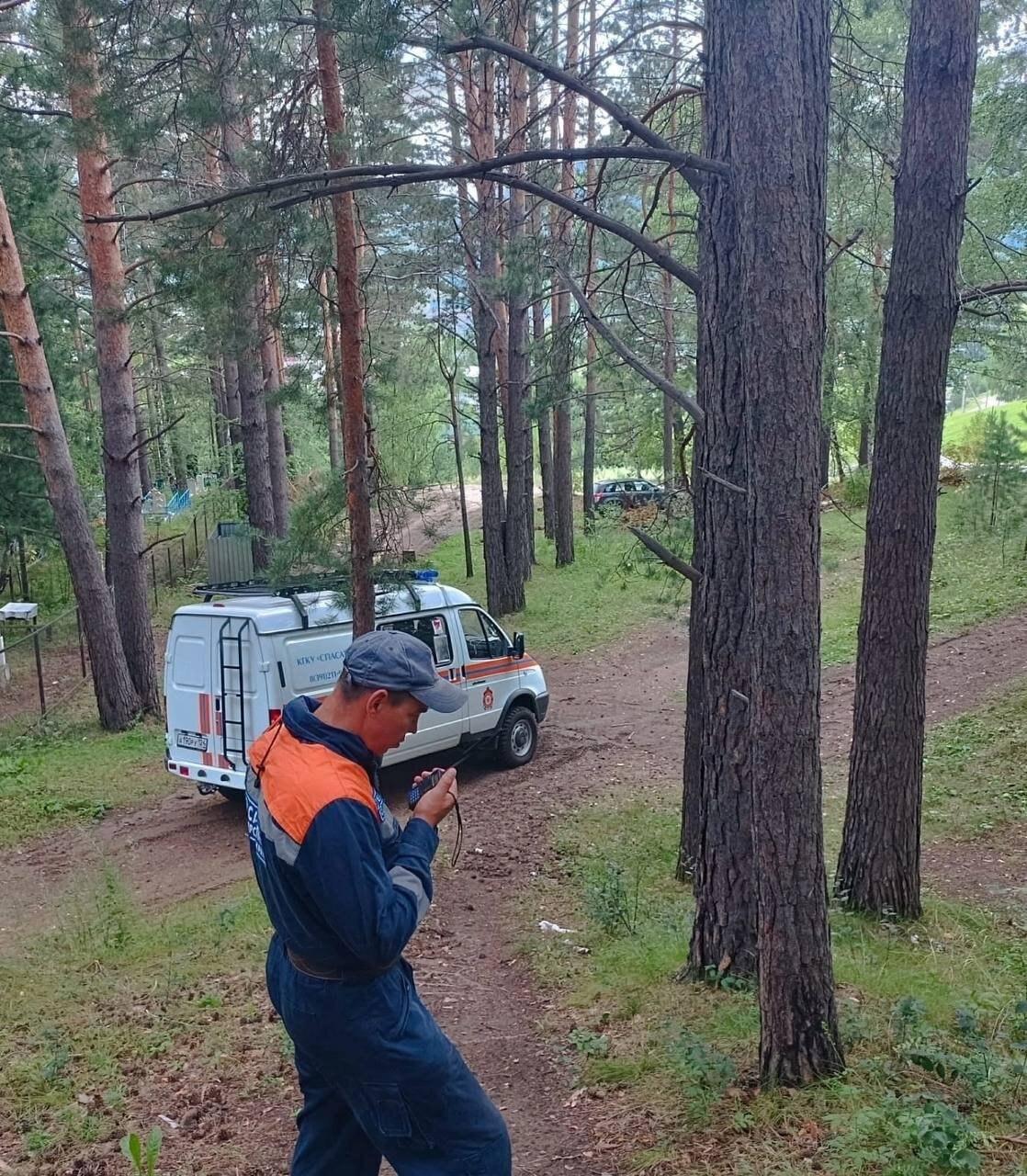Очередное нападение медведя: в Красноярском крае погиб мужчина В посёлке...