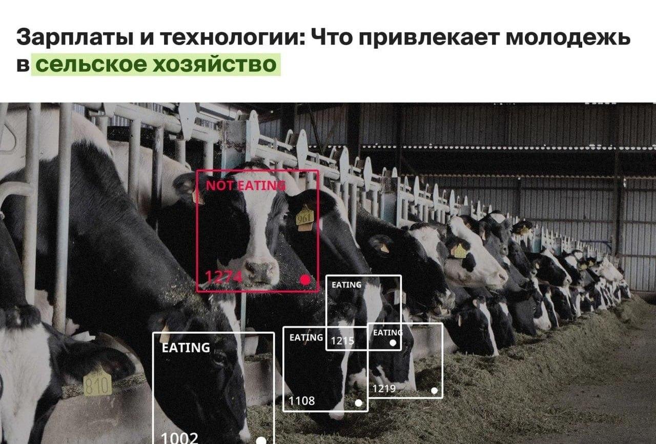 Зумеры уходят в сельхоз: агрономы в России получают до ₽300 тысяч, а зоотехники — до ₽500 тысяч.