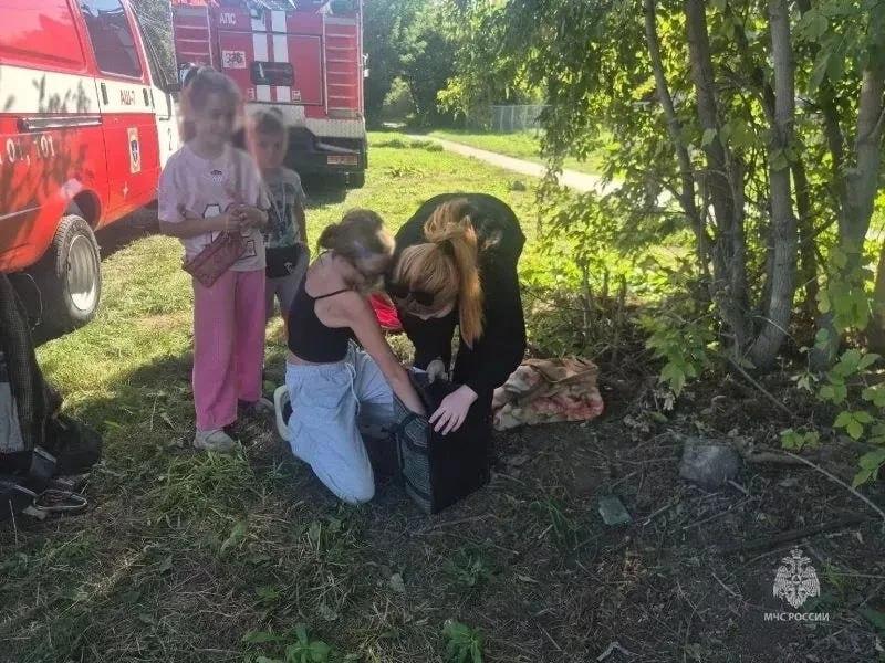 В Ачинске огнеборцы спасли провалившегося в колодец котёнка В пожарную охрану...