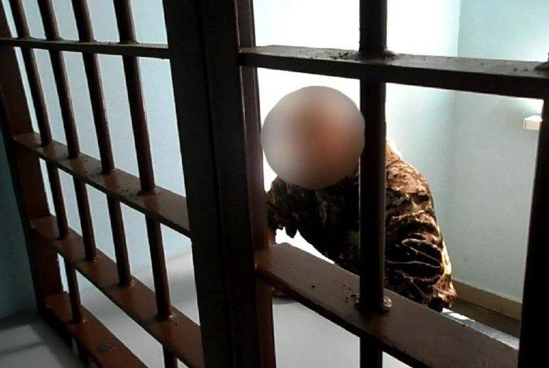 От застолья до колонии: житель Канска получил пять лет за избиение гостей В...