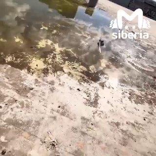 Мэрия потратила 4 млн на охрану долгостроя на Ватутина в Новосибирске, но...