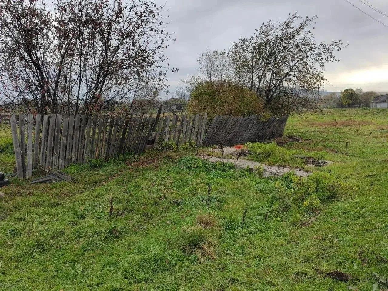 В Красноярском крае медведь растерзал пенсионерку прямо во дворе её дома