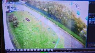 Кадры ликвидации медведя, пробравшегося на территорию школы-интерната на Камчатке