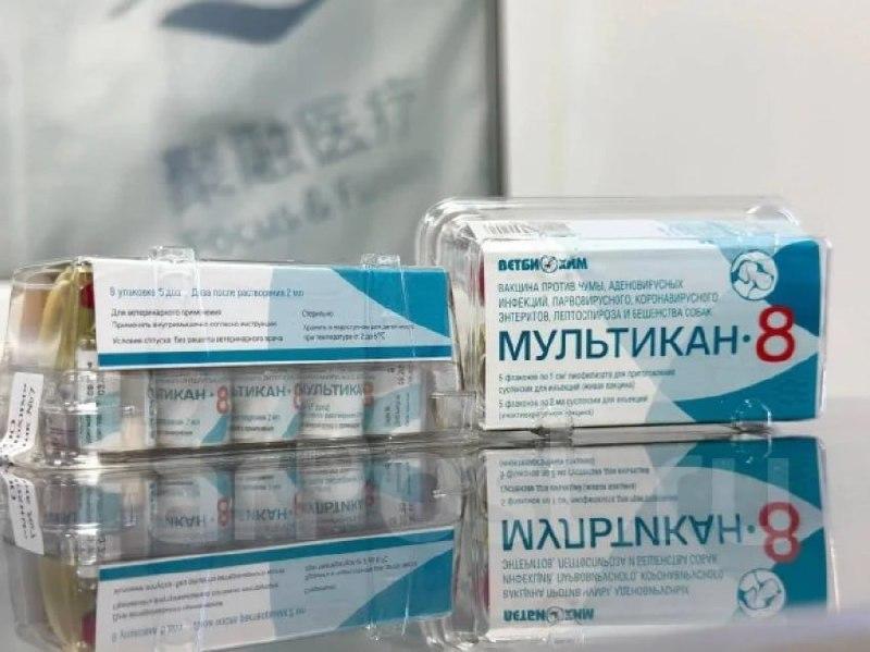 В вакцине 
