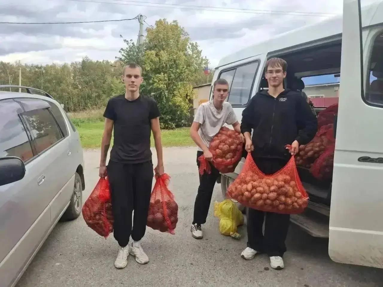 В Кузбассе начали раздавать овощные наборы нуждающимся