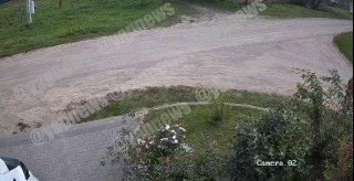В Беларуси кошка бросилась на алабая и спасла хозяйку во время прогулки
