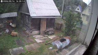 Медведя в 15 минутах от центра Новокузнецка заметили в СНТ «Сосновец». Со...