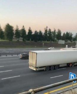 На Ярославском шоссе этим утром заметили лося, который бежал в сторону...