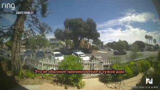 В Сан-Диего золотистый ретривер по кличке Нэш трижды приносил игрушку грабителю, который пробрался в дом, и предлагал ему поиграть