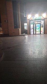 В Дмитрове к отделению банка пришла упитанная ондатра 🇷🇺 Источник: ЧП МОСКВА