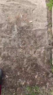 Буквально в сантиметре от глаза: в Подмосковье отскочившая пила рассекла человеку лоб.