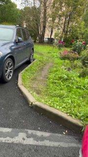 Бездомным котам построили собственный особняк в Петербурге
