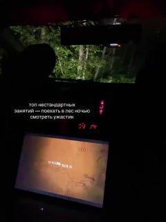 Просмотр ужастика ночью в лесу закончился для девушки сердечным приступом в Подмосковье.