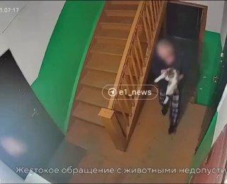 Под Екатеринбургом неадекватный мужчина похитил и застрелил соседского кота только за то, что тот однажды сел на капот его машины