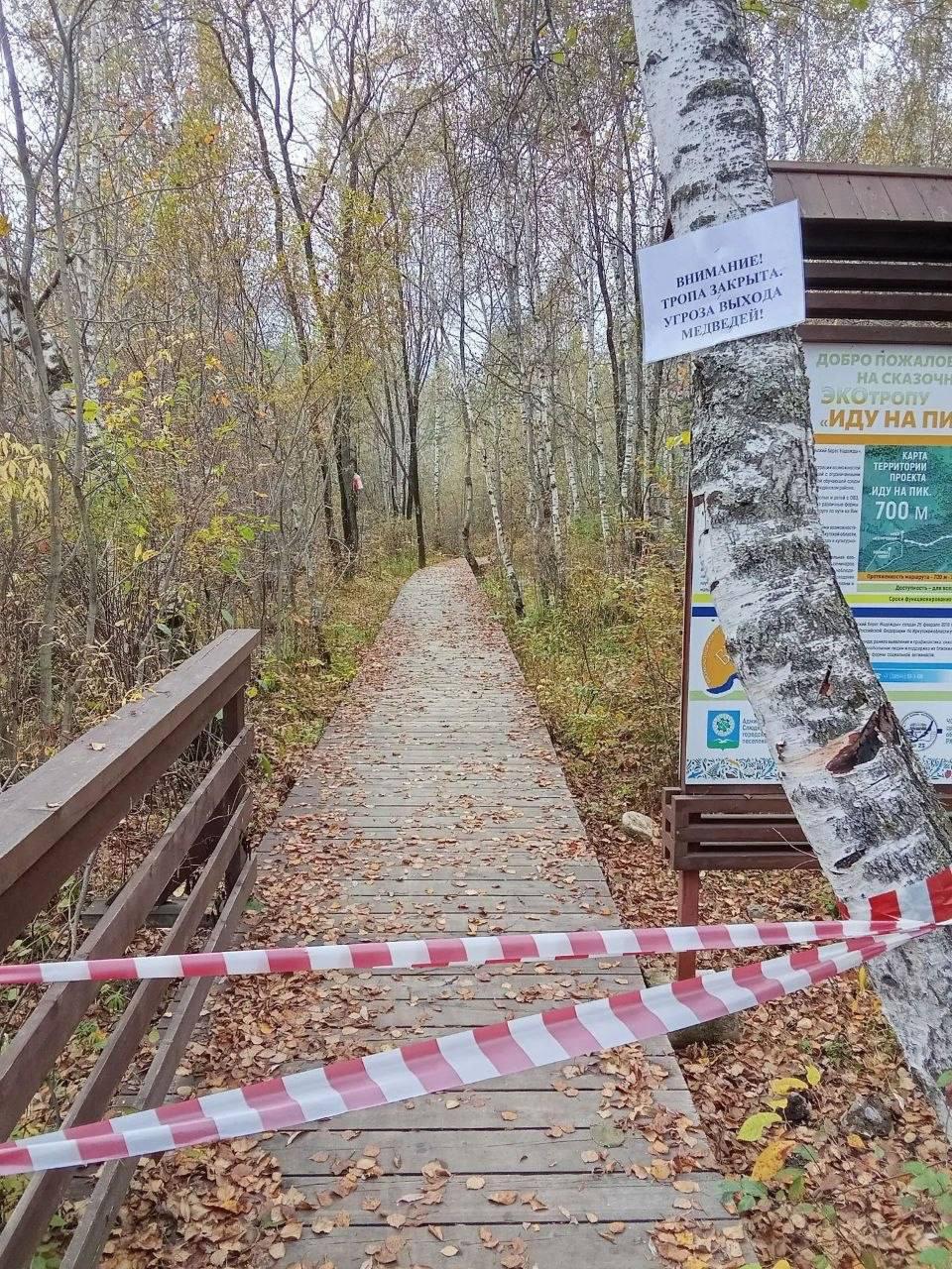 Туристические маршруты закрыли в Слюдянском районе из-за медведей