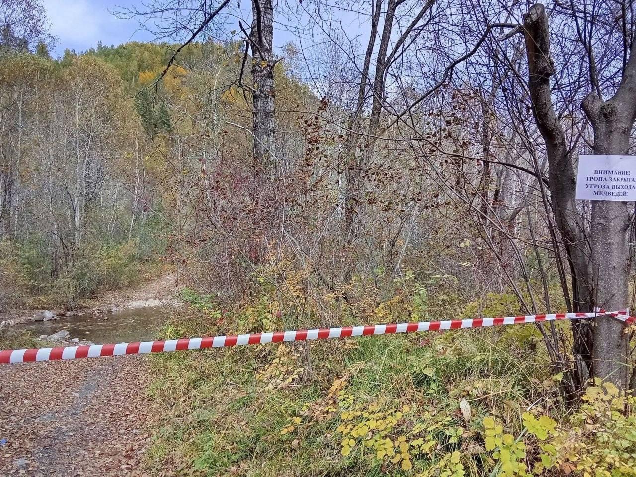 Туристические маршруты закрыли в Слюдянском районе из-за медведей