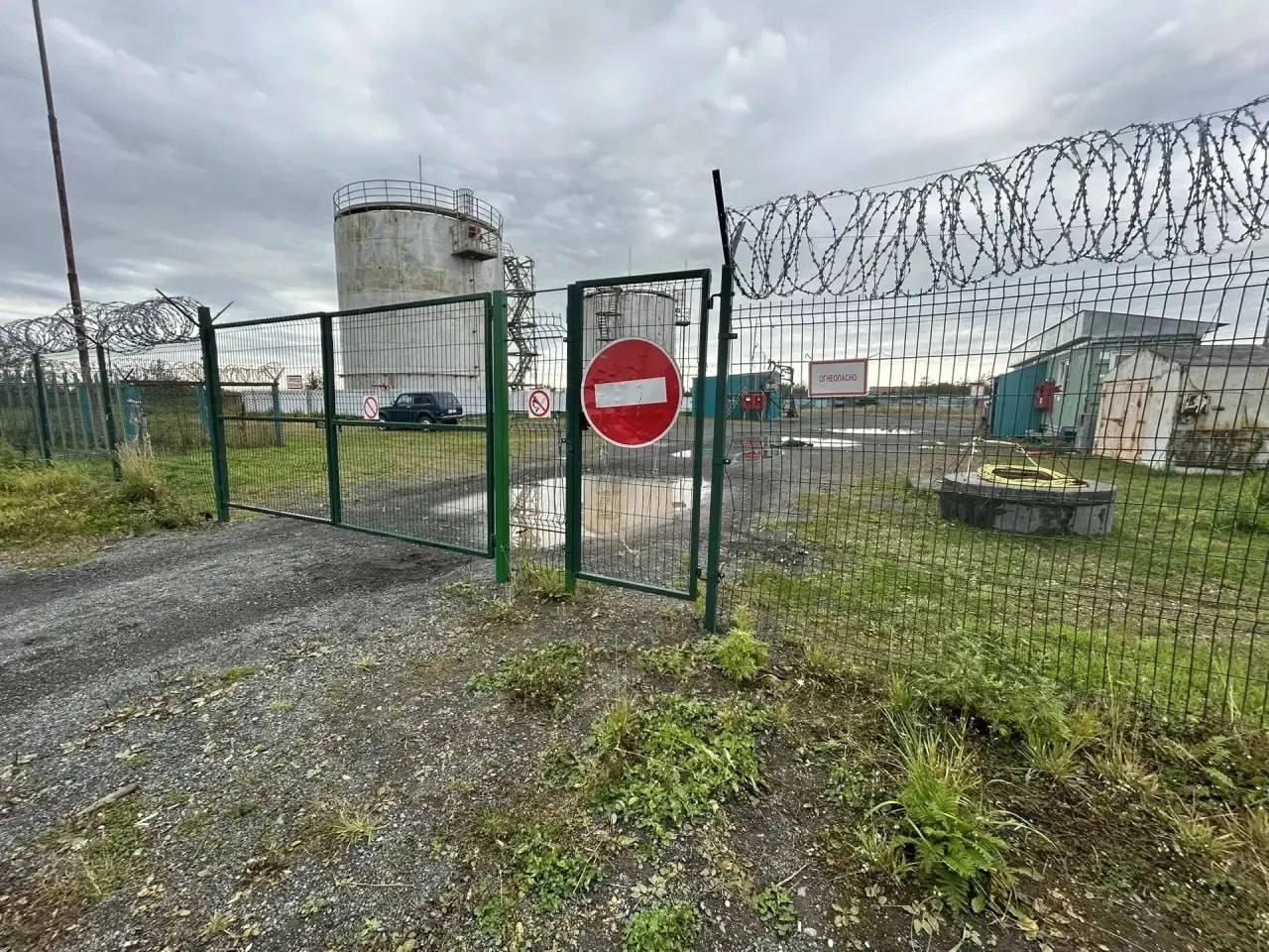 Медведь убил сторожа на территории предприятия на Камчатке