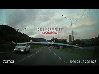 Медведей заметили сразу в двух районах Кузбасса