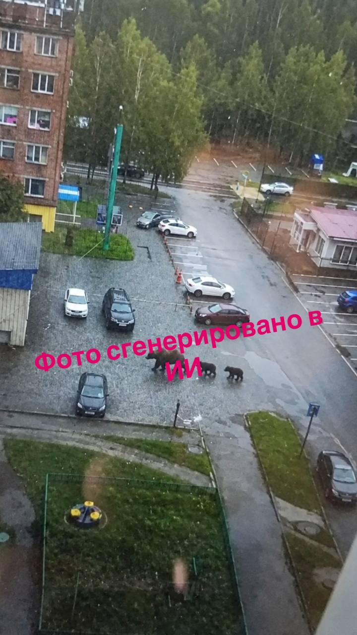 Медведь в Таштаголе оказался фейком