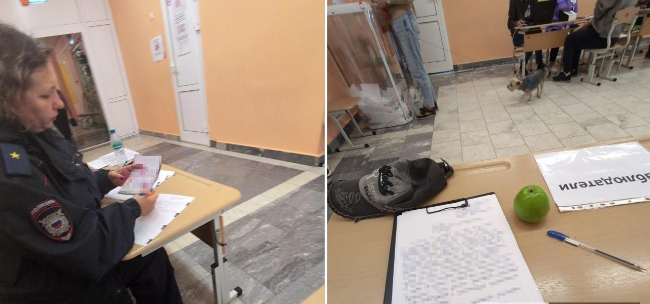 Радикальная оппозиция в РФ планировала акцию на выборах в ряде городов — хотела «всё забросать яблоками»