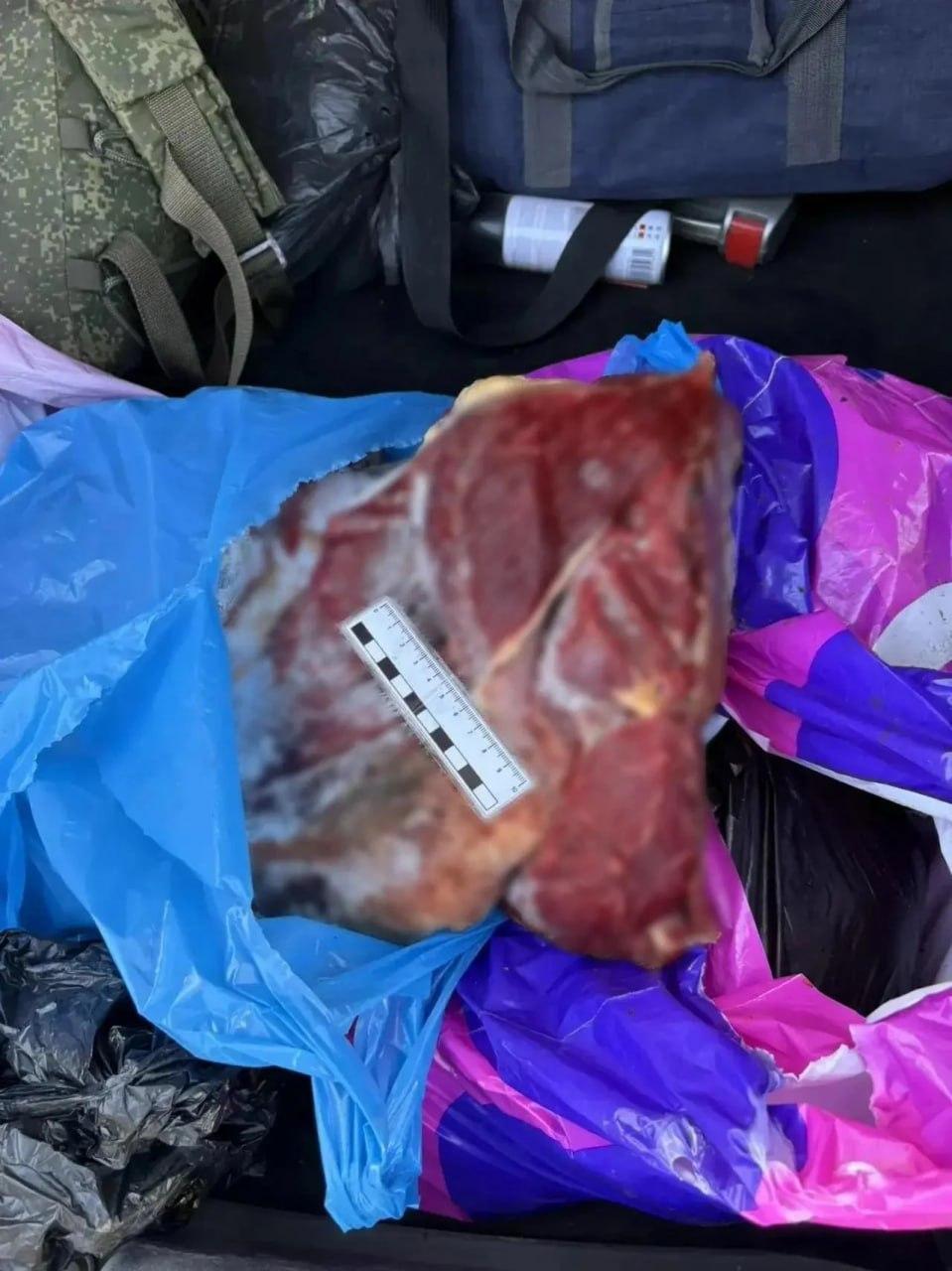 В Каа-Хемском районе полицейские раскрыли кражу лошади