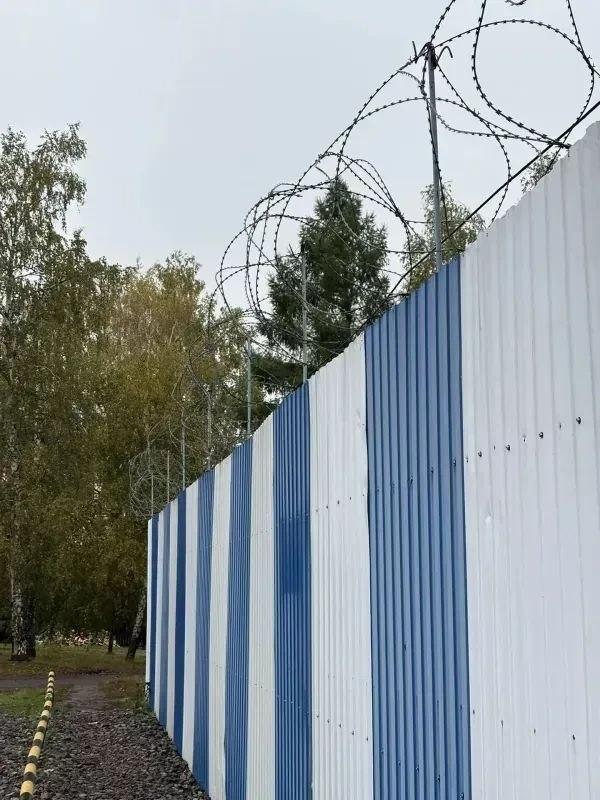 Через лес, на попутках в Иркутск: в крае отбывающая срок многодетная...