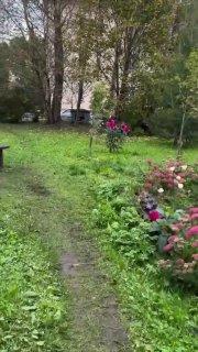 В одном из дворов Петербурга заметили милый кошкин дом 🇷🇺 Источник: ЧП ПИТЕР