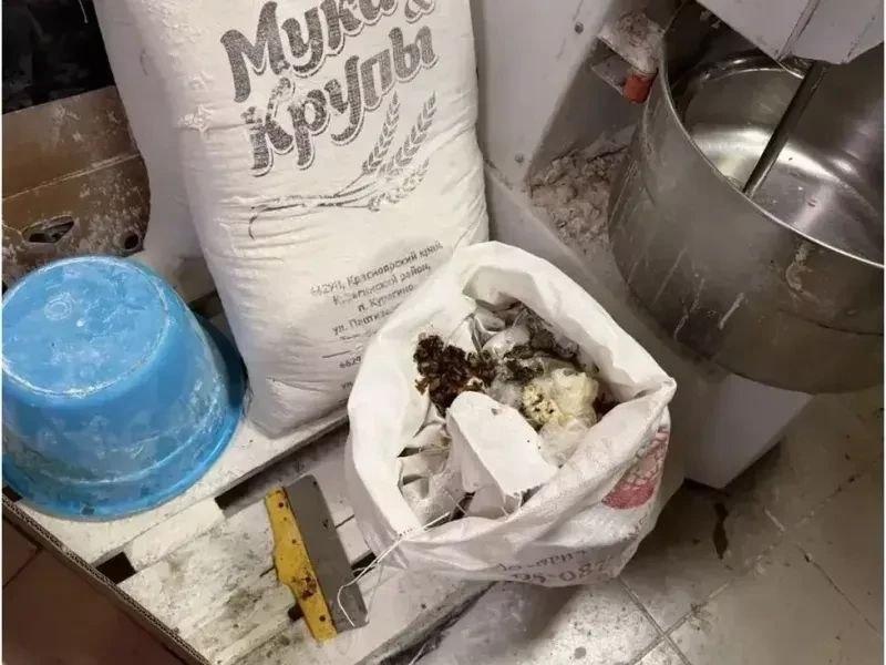 В Мотыгино хлеб пекли в грязной и затянутой паутинами пекарне