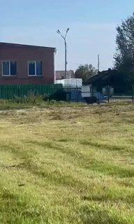 В Иркутской области отменили дни здоровья на природе из-за медведей.