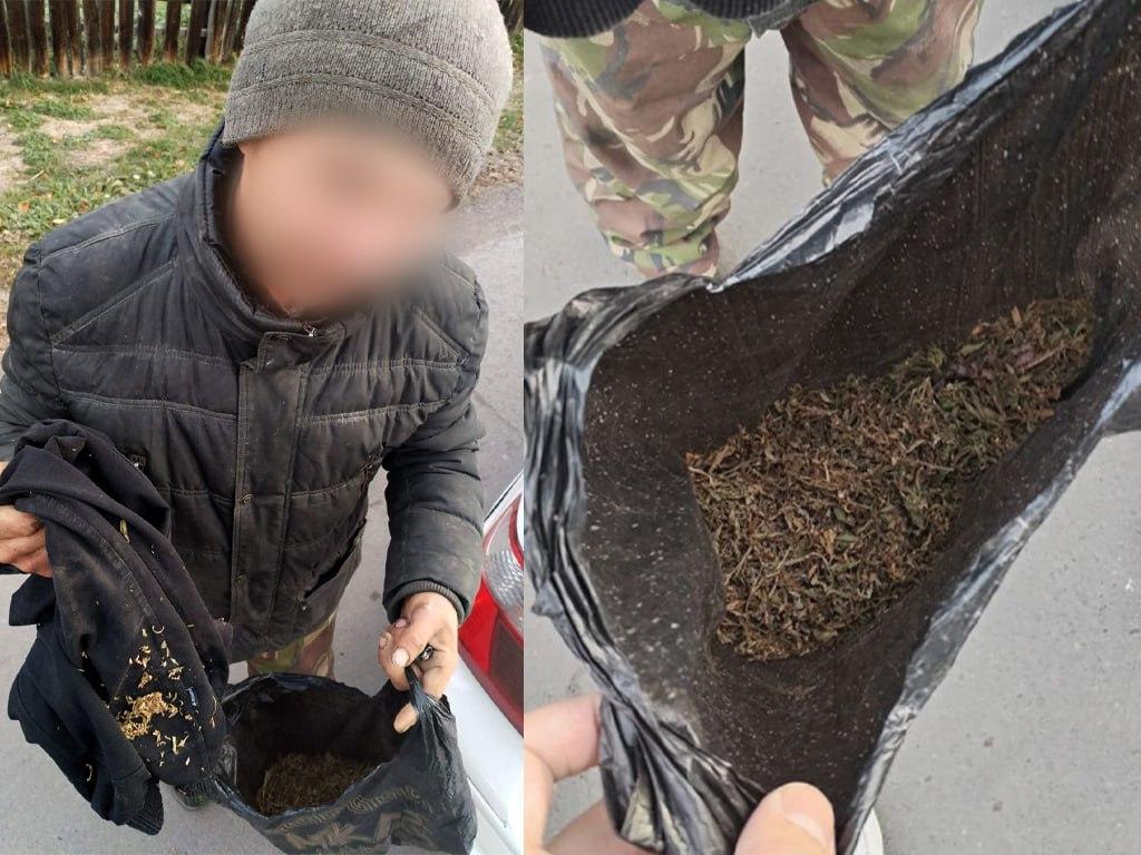 В Красноярском крае стартовал второй этап акции «Сообщи, где торгуют смертью»...