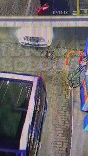 На нижегородской АЗС водитель переехал собаку