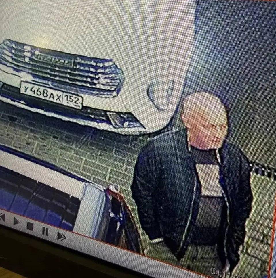На нижегородской АЗС водитель переехал собаку