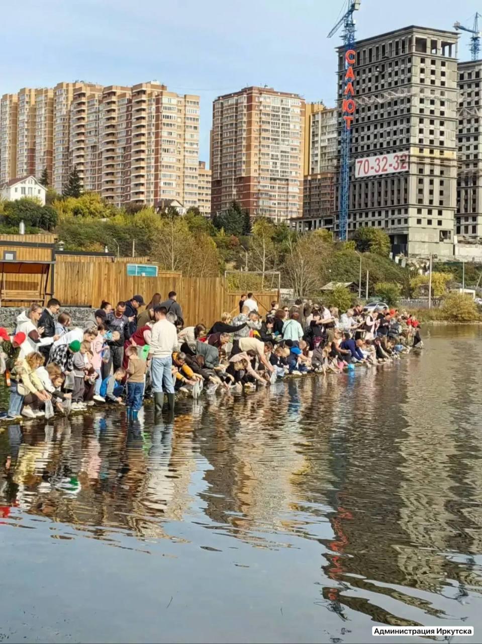 10 тысяч мальков выпустили в Ангару