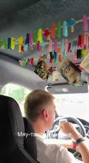 В Беларуси нашли самое милое такси — водитель украсил весь салон открытками с котиками, а вместо обычных стикеров пассажиров встречают фразы поддержки.