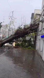 Упавшие деревья и затопленные улицы: в Севастополе сильные дожди. По...