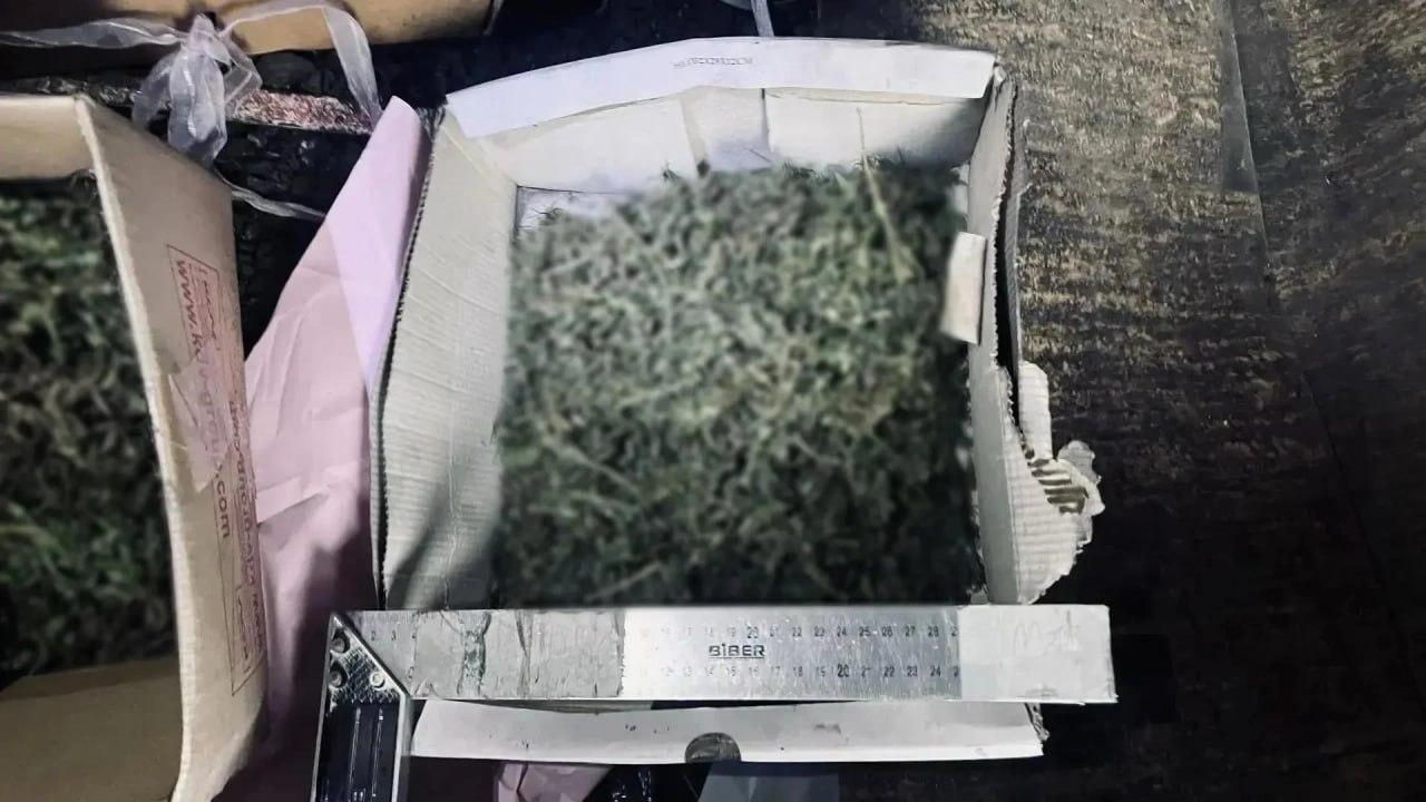 В Кызыле наркополицейские раскрыли факт незаконного хранения наркотических средств в крупном размере
