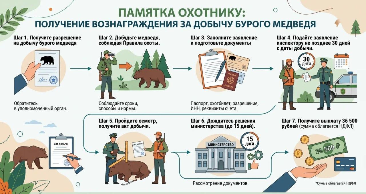 51 охотник в Красноярском крае уже подал заявку на деньги за убитого медведя