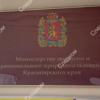 Обыски прошли в Минприроды Красноярского края из-за нашествия медведей....