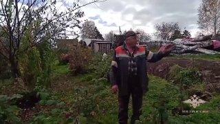 Женщина-полицейский застрелила двух медведей в Кузбассе