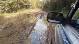 Обыски прошли в краевом Минприроды из-за гибели людей от медведей Следком...